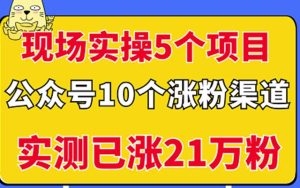 現場實操5個公眾號項目，10個漲粉渠道，實測已漲21萬粉！? - 嚴選資源大全 - 嚴選資源大全