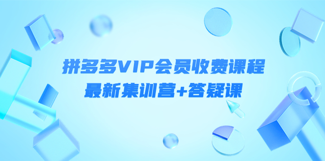 某社群·拼多多VIP會員收費課程，最新集訓營+答疑課-價值3299元? - 嚴選資源大全