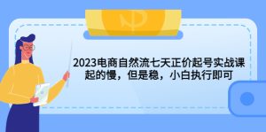 2023電商自然流七天正價(jià)起號(hào)實(shí)戰(zhàn)課：起的慢，但是穩(wěn)，小白執(zhí)行即可！ - 嚴(yán)選資源大全 - 嚴(yán)選資源大全