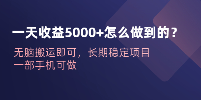 一天收益5000+怎么做到的?無腦搬運即可,長期穩定項目,一部手機可做 - 嚴選資源大全