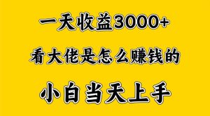一天賺3000多,大佬是這樣賺到錢的,小白當天上手,窮人翻身項目 - 嚴選資源大全 - 嚴選資源大全