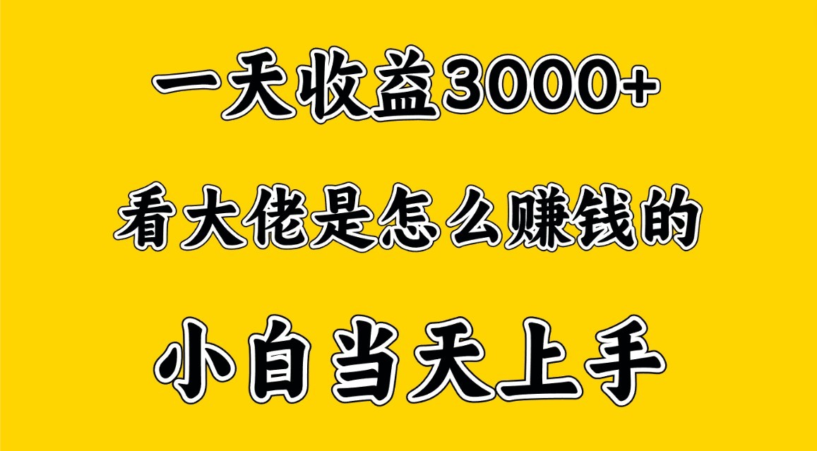 一天賺3000多，大佬是這樣賺到錢的，小白當天上手，窮人翻身項目 - 嚴選資源大全