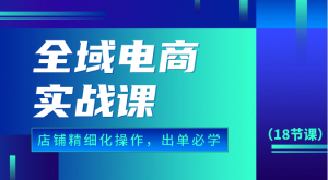全域電商實戰課,個人店鋪精細化操作流程,出單必學內容(18節課) - 嚴選資源大全 - 嚴選資源大全