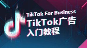 TikTok廣告入門教程，從0到1掌握TikTok投放的全流程 - 嚴選資源大全 - 嚴選資源大全