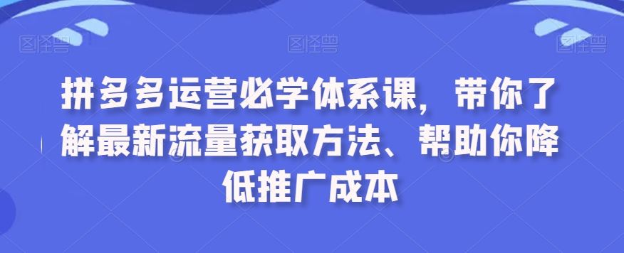 拼多多運營必學體系課,帶你了解最新流量獲取方法、幫助你降低推廣成本 - 嚴選資源大全