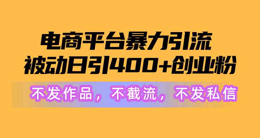 （10168期）電商平臺暴力引流,被動日引400+創(chuàng)業(yè)粉不發(fā)作品，不截流，不發(fā)私信 - 嚴(yán)選資源大全