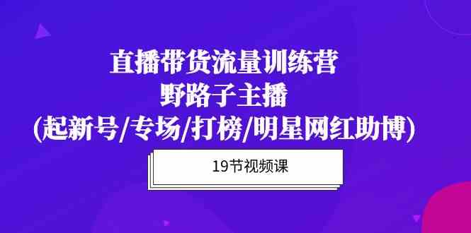 （10016期）直播帶貨流量特訓(xùn)營(yíng)，野路子主播(起新號(hào)/專(zhuān)場(chǎng)/打榜/明星網(wǎng)紅助博)19節(jié)課 - 嚴(yán)選資源大全