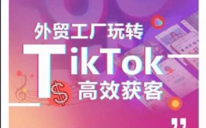 外貿工廠玩轉TikTok高效獲客,多種引流方式與賬號定位技巧,拆解爆款短視頻打造成功案例 - 嚴選資源大全 - 嚴選資源大全