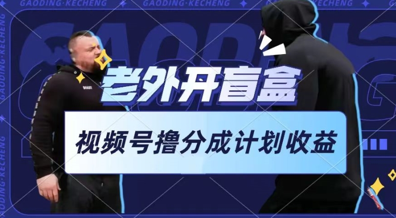 老外開盲盒視頻，擼視頻號分成計劃收益，每天只需一小時，新手小白輕松上手 - 嚴選資源大全