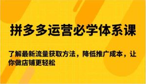 拼多多運營必學體系課-了解最新流量獲取方法，降低推廣成本，讓你做店鋪更輕松 - 嚴選資源大全 - 嚴選資源大全