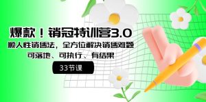 爆款！銷冠特訓營3.0之順人性銷售法，全方位解決銷售難題、可落地 - 嚴選資源大全 - 嚴選資源大全