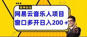 網易云掛機項目延伸玩法，電腦操作長期穩定，小白易上手 - 嚴選資源大全 - 嚴選資源大全