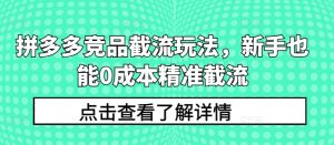 拼多多競品截流玩法，新手也能0成本精準截流 - 嚴選資源大全 - 嚴選資源大全