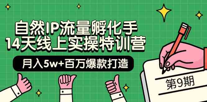 自然IP流量孵化手14天線上實操特訓營【第9期】月入5w+百萬爆款打造 (74節) - 嚴選資源大全