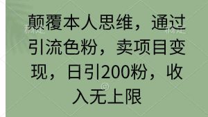 (9523期)顛覆本人思維,通過(guò)引流色粉,賣項(xiàng)目變現(xiàn),日引200粉,收入無(wú)上限 - 嚴(yán)選資源大全 - 嚴(yán)選資源大全