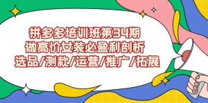 拼多多培訓班第34期:做高價女裝必盈利剖析 選品/測款/運營/推廣/拓展 - 嚴選資源大全 - 嚴選資源大全