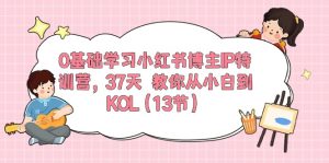 （10764期）0基礎學習小紅書博主IP特訓營，37天 教你從小白到KOL（13節） - 嚴選資源大全 - 嚴選資源大全