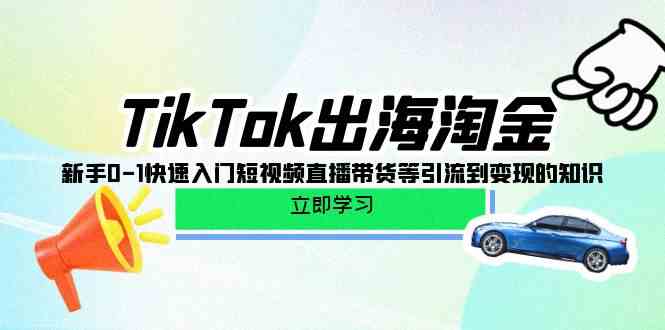 TikTok出海淘金，新手0-1快速入門短視頻直播帶貨等引流到變現(xiàn)的知識 - 嚴(yán)選資源大全