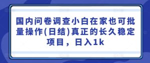 國內問卷調查小白在家也可批量操作(日結)真正的長久穩定項目,日入1k【揭秘】 - 嚴選資源大全 - 嚴選資源大全