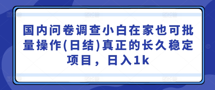 國內問卷調查小白在家也可批量操作(日結)真正的長久穩定項目,日入1k【揭秘】 - 嚴選資源大全