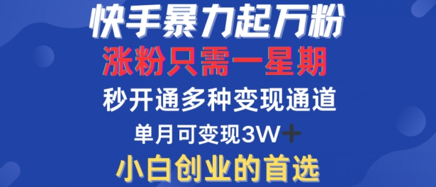 快手暴力起萬粉,漲粉只需一星期,多種變現模式,直接秒開萬合,單月變現過W【揭秘】 - 嚴選資源大全