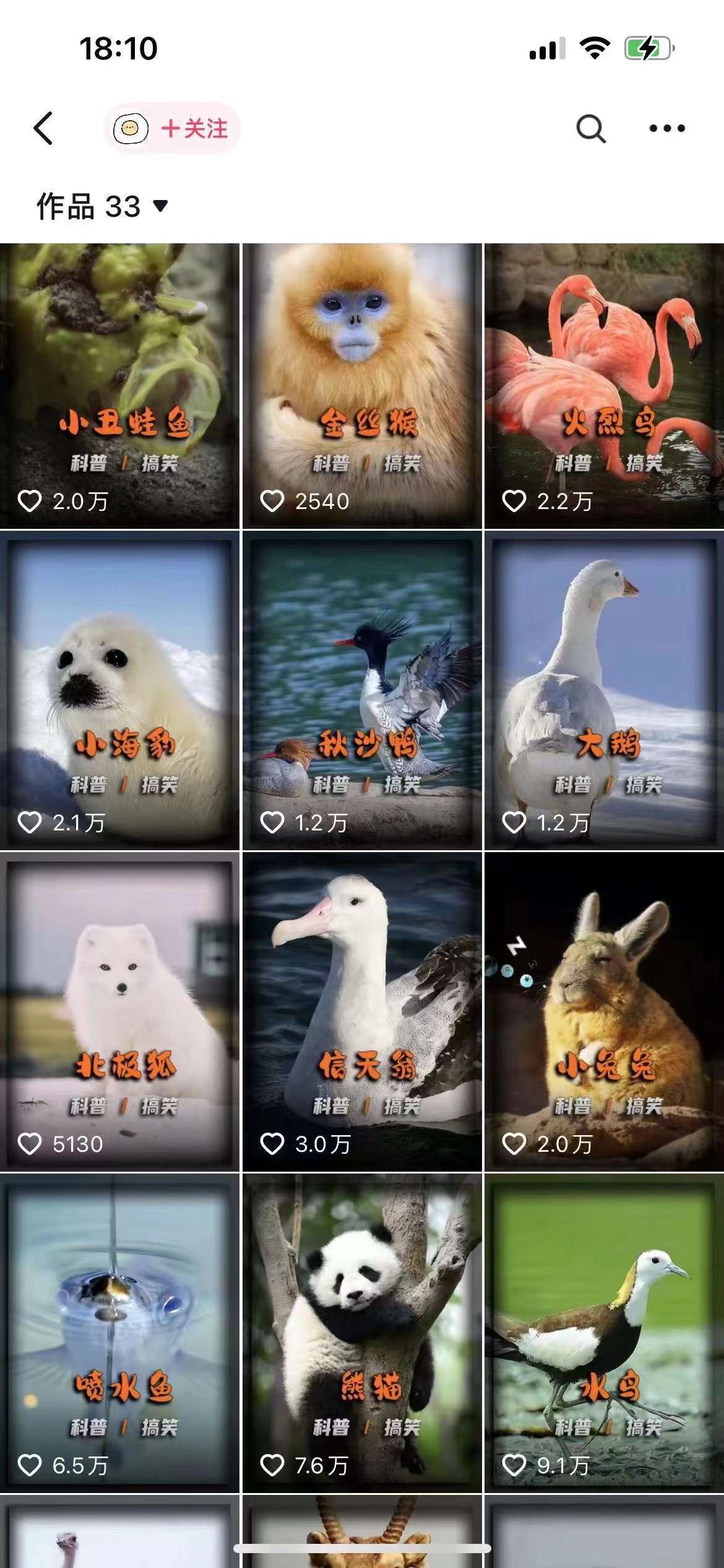 動物科普解說項目，擼創作者伙伴計劃收益，保姆級實戰教程