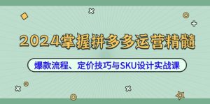 2024掌握拼多多運營精髓:爆款流程、定價技巧與SKU設計實戰課 - 嚴選資源大全 - 嚴選資源大全