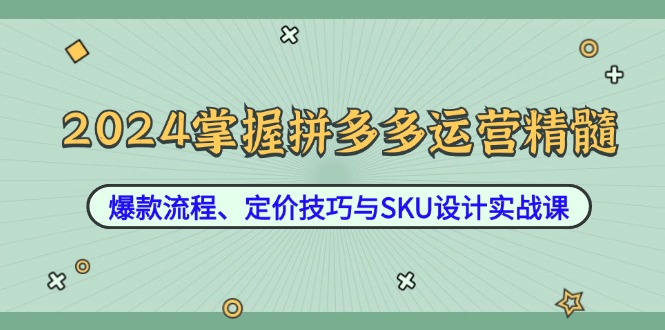 2024掌握拼多多運營精髓：爆款流程、定價技巧與SKU設計實戰(zhàn)課 - 嚴選資源大全