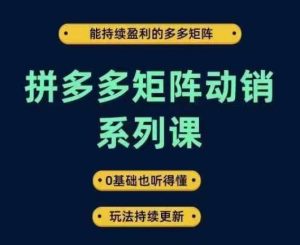 拼多多矩陣動銷系列課，能持續盈利的多多矩陣，0基礎也聽得懂，玩法持續更新 - 嚴選資源大全 - 嚴選資源大全