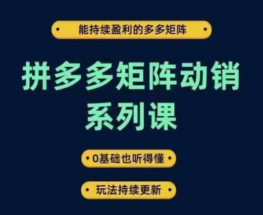 拼多多矩陣動銷系列課，能持續盈利的多多矩陣，0基礎也聽得懂，玩法持續更新 - 嚴選資源大全