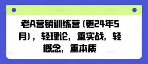 老A營銷訓練營(更24年9月)，輕理論，重實戰，輕概念，重本質 - 嚴選資源大全 - 嚴選資源大全