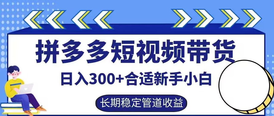 拼多多短視頻帶貨日入300+有長期穩定被動收益，合適新手小白【揭秘】 - 嚴選資源大全