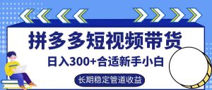 拼多多短視頻帶貨日入300+,實操賬戶展示看就能學會 - 嚴選資源大全 - 嚴選資源大全