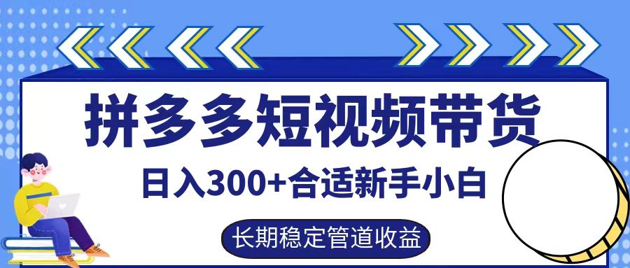拼多多短視頻帶貨日入300+,實操賬戶展示看就能學會 - 嚴選資源大全