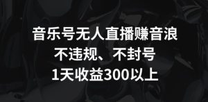 音樂號無人直播賺音浪,不違規(guī)、不封號,1天收益300+ - 嚴選資源大全 - 嚴選資源大全