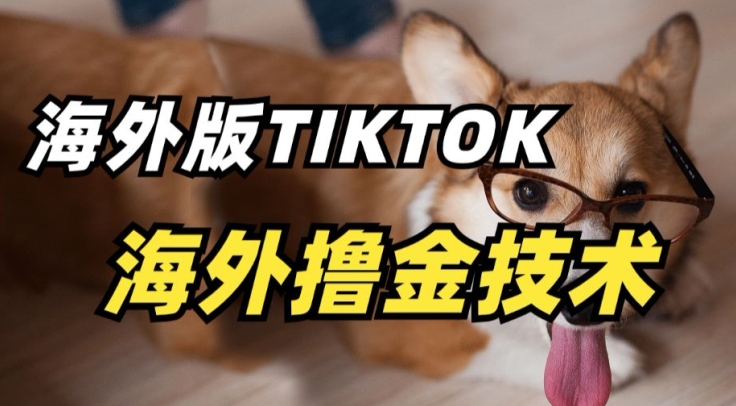 抖音海外版tiktok擼金技術，這個風口行業，賺錢真的不難 - 嚴選資源大全