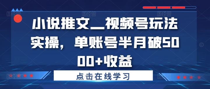 小說推文—視頻號玩法實操，單賬號半月破5000+收益 - 嚴選資源大全