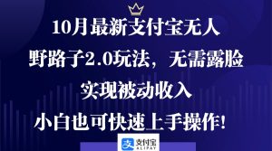 （12824期）10月最新支付寶無人野路子2.0玩法，無需露臉，實現被動收入，小白也可… - 嚴選資源大全 - 嚴選資源大全