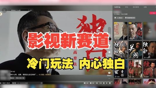 最新影視解說玩法，人物獨白，30天漲粉24萬+，全流程拆解【揭秘】 - 嚴選資源大全
