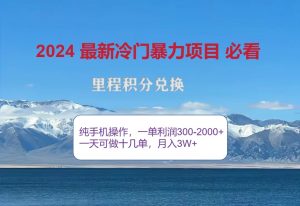 2024驚爆冷門暴利,里程積分最新玩法,高爆發期,一單300+—2000+ - 嚴選資源大全 - 嚴選資源大全