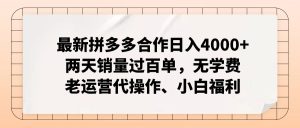 （12869期）拼多多最新合作日入4000+兩天銷量過百單，無學費、老運營代操作、小白福利 - 嚴選資源大全 - 嚴選資源大全