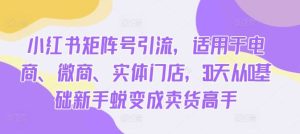 小紅書矩陣號引流，適用于電商、微商、實體門店，30天從0基礎新手蛻變成賣貨高手 - 嚴選資源大全 - 嚴選資源大全