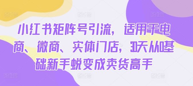 小紅書矩陣號(hào)引流,適用于電商、微商、實(shí)體門店,30天從0基礎(chǔ)新手蛻變成賣貨高手 - 嚴(yán)選資源大全