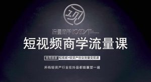 短視頻商學流量課+口播拍攝剪輯，?短視頻+輕資產創業流量變現課 - 嚴選資源大全 - 嚴選資源大全