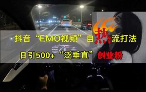 抖音EMO視頻自熱打法，日引500+“泛垂直”創(chuàng)業(yè)粉 - 嚴(yán)選資源大全 - 嚴(yán)選資源大全