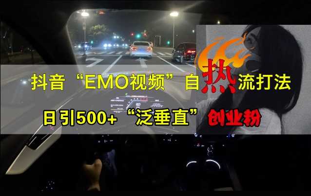 抖音EMO視頻自熱打法，日引500+“泛垂直”創業粉 - 嚴選資源大全