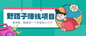 一個人就能操作的野路子賺錢項目，零成本零門檻堅持做，跑通后一個月小幾千！ - 嚴選資源大全 - 嚴選資源大全