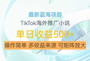 最新藍海項目，利用tiktok海外推廣小說賺錢傭金，簡單易學，日入500+，可矩陣放大【揭秘】 - 嚴選資源大全 - 嚴選資源大全