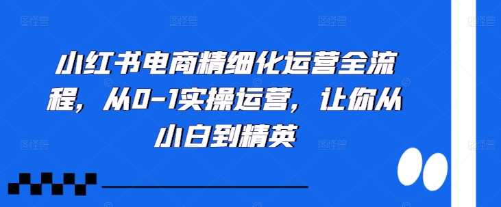 小紅書電商精細化運營全流程，從0-1實操運營，讓你從小白到精英 - 嚴選資源大全
