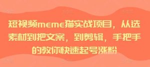 短視頻meme貓實戰項目,從選素材到把文案,到剪輯,手把手的教你快速起號漲粉 - 嚴選資源大全 - 嚴選資源大全